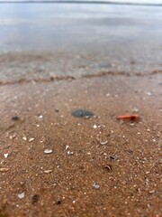 wet sand with stones, beach and water, wet sand background, sand background
