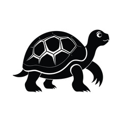 tortoise vector and silhouette on white background