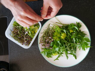 Person is preparing a salad with various greens and herbs