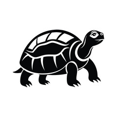 tortoise vector and silhouette