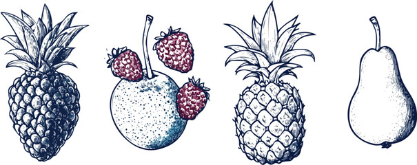 Hand Drawn Fruit Vector Illustration Set featuring Pineapple Raspberry Apple and Pear Engraving Style Botanical Illustrations Ideal for Food Packaging Labels Menus and Cookbooks Retro Vintage Style