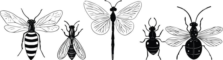 Five black insects vector monochrome set bee dragonfly ladybug flying beetle entomological collection nature wildlife insectarium biology study monochrome minimalist design element isolated on white