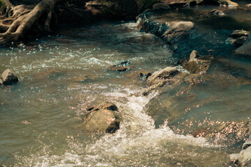 Water flowing creek on the rocks in a beautiful river landscape