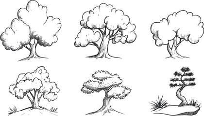 Hand Drawn Tree Vector Illustration Set Sketch Doodle Style Various Trees Forest Decorative Collection Isolated White Background Nature Plants Design Element Park Garden Landscape Drawing Botany