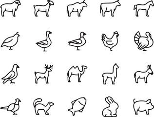 animal, animals, farm, livestock, wildlife, fauna, domestic, bird, mammal, sheep, goat, cow, horse, quail, goose, duck, chicken, turkey, pigeon, deer, 