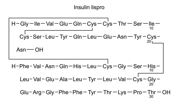 Chemical structure of insulin lispro, drug substance