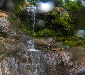 Water from a stream falls over rocks to form a small waterfall in the interior of an Atlantic Forest in Brazil