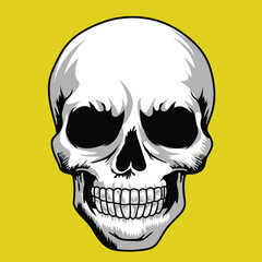 Human head skull skeleton vector illustration sketch drawing