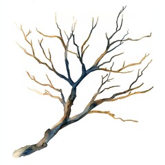 Obraz premium Bare Branches Reaching Skyward