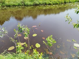 sky, river, summer, clouds