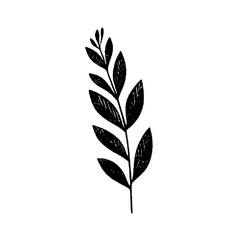Obraz premium Hand drawn laurel branch sketch