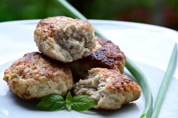 fried cutlets on a plate,