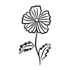 Single Daisy Flower Handdrawn Outline
