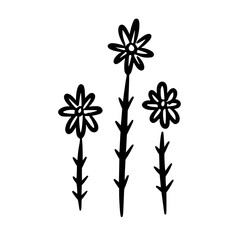 Wildflower Line Art Handdrawn Sketch