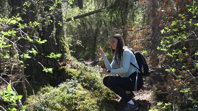 Traveling in the mountains. A woman in the mountains explores forest plants. Traveling with a backpack, a woman traveler in the forest.