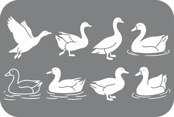 Fototapeta premium Stylized Illustration of White Ducks in Various Poses Against a Gray Background Including Flying Walking and Swimming Ducks in a Simple Graphic Design Style