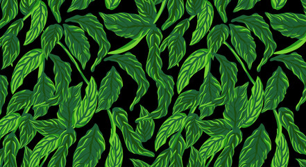 Seamless flower pattern. Abstract pattern. Textile print pattern. Black background and green leaf design.