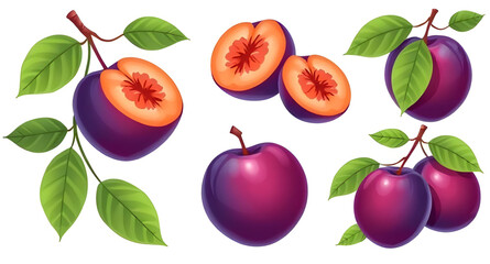 Plum vector, Plum illustration, Fresh plums vector, Whole plum vector, Sliced plum illustration, Plum fruit clipart, Juicy plum vector, Purple plum vector, Ripe plums, Plum set vector, Hand-drawn plum
