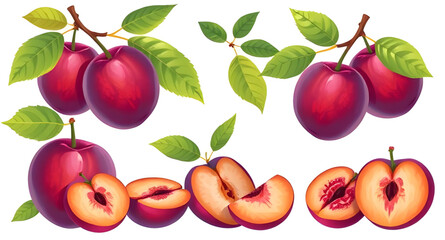 Plum vector, Plum illustration, Fresh plums vector, Whole plum vector, Sliced plum illustration, Plum fruit clipart, Juicy plum vector, Purple plum vector, Ripe plums, Plum set vector, Hand-drawn plum