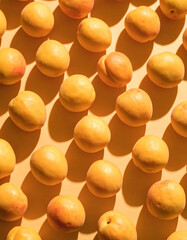 Apricots still life photograph