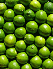Lime still life photograph