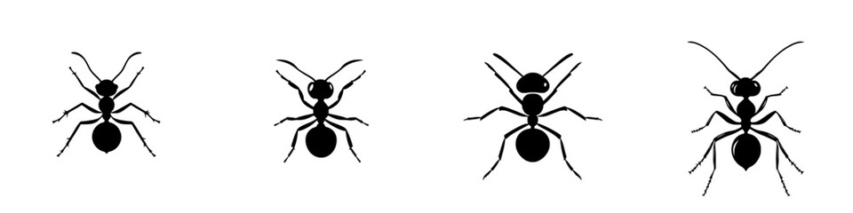 Stylized icon set featuring black ant designs for creative projects and digital use
