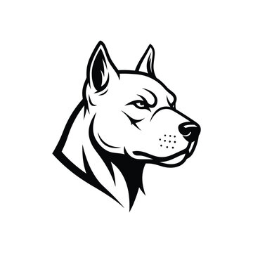 Powerful American Pit Bull Terrier Head Vector Illustration Strong Dog Breed Design