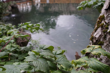 Naklejka premium waterfall in the park