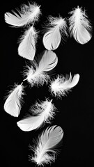 Obraz premium White Feathers Falling on Black Background