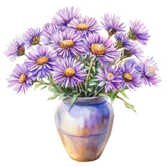 A New England Aster In A Vase, watercolor drawing vector, high quality, isolated on a white background.