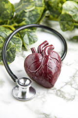A model of a human heart lies next to a stethoscope on a marble surface with green leaves in the background. Medical concept, anatomy, healthcare