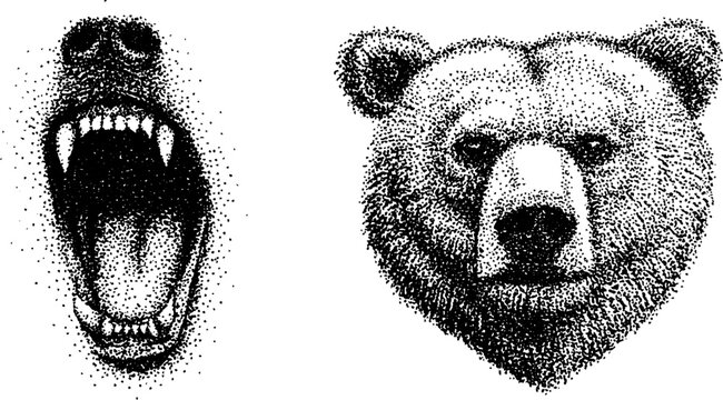 Hyper detailed ink stippling art featuring bear and roaring animal in halftone style