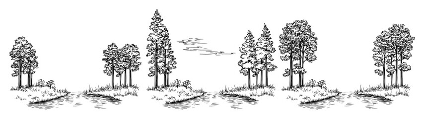 Fototapeta premium forest trees on riverside landscape sketch
