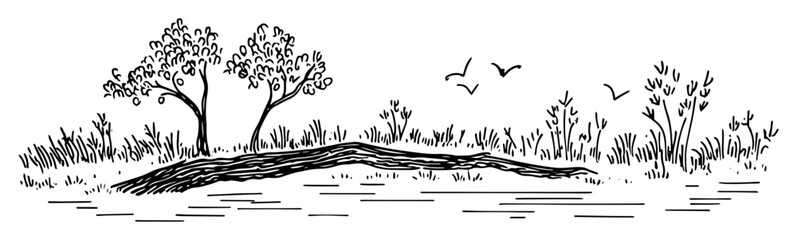 pond with trees and reeds landscape doodle vector sketch