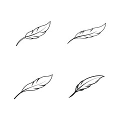 Elegant feather minimal decorative sketch art Line Art Vector illustration