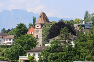 Vaduz cityscapes in summer