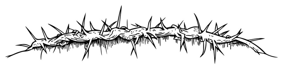 long crown of thorns horizontal illustration