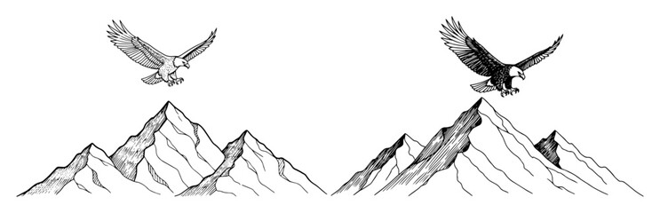 eagles flying above mountain ridge sketch illustration