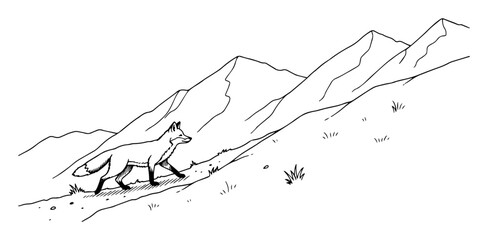 Fototapeta premium fox walking on mountain terrain wilderness scene