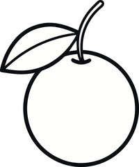 Calamansi Fruit Outline Vector On Transparent Background