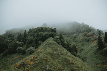 Paysage mystique et fantastique dans la montagne avec de la brume 