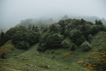Paysage mystique et fantastique dans la montagne avec de la brume 
