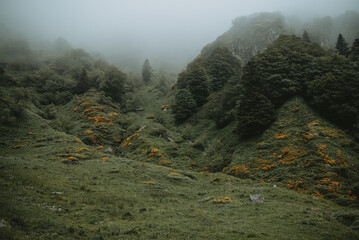 Paysage mystique et fantastique dans la montagne avec de la brume 