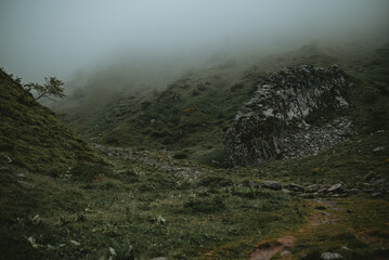 Paysage mystique et fantastique dans la montagne avec de la brume 