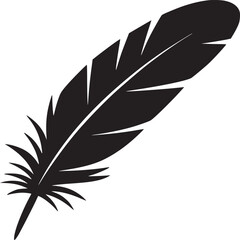 Obraz premium A single black feather with detailed barbs isolated on a plain white background in a simple graphic style
