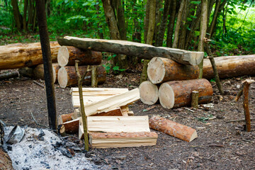 Firewood stacked near a fire pit in a forest campsite
