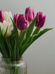 Elegant Bouquet of Pink and White Tulips in Ribbed Glass Vase Against Neutral Wall, Minimalist Floral Arrangement for Spring Decor, Home Interior Styling, Symbol of Beauty and Renewal