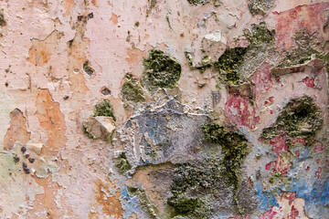 Weathered colorful stucco wall. Italy, Basilicata, Maratea.