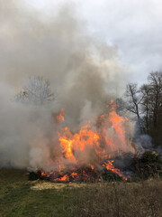Burning christmas trees creating huge flames produces heavy flames