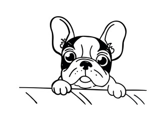 Adorable French Bulldog Illustration - Cute Dog Line Art
